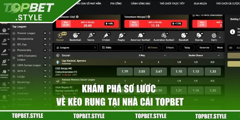 Khám phá sơ lược về kèo rung tại nhà cái Topbet