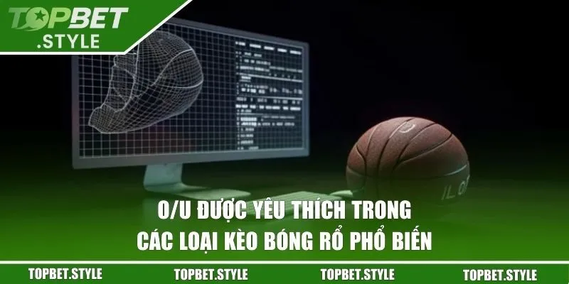 O/U được yêu thích trong các loại kèo bóng rổ phổ biến
