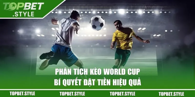 Bí quyết đặt tiền hiệu quả