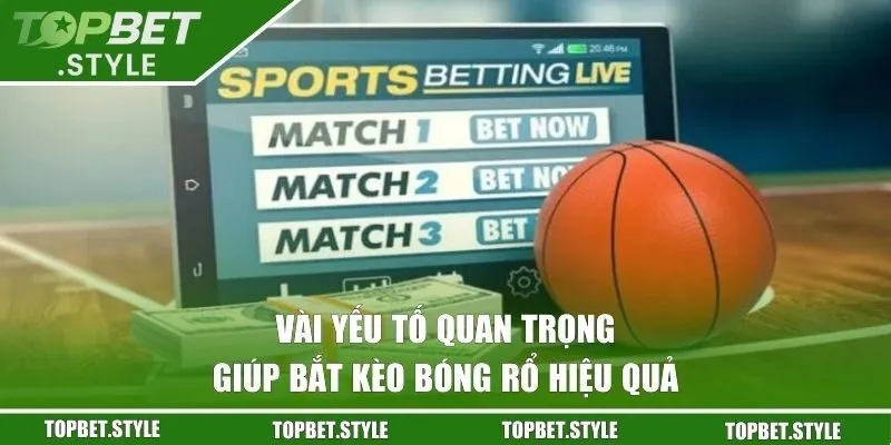 Vài yếu tố quan trọng giúp bắt kèo bóng rổ hiệu quả